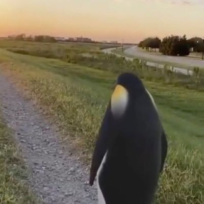 noth1ngnxxx's profile picture. 로그아웃