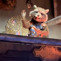 Raccoooooooooon (@r_raccoooooooon) 's Twitter Profile