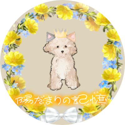 mikka🐈さんのプロフィール画像
