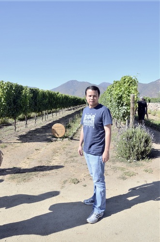 pachobetancourt's profile picture. 