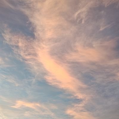 LinSetticase's profile picture. Sagitariana hasta la médula🔥
Estudiante UNLP🐾
La Plata📍