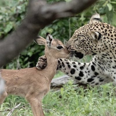 Amjadmohaamad_'s profile picture. ﴿وَجَعَلَني مُبارَكًا أَينَ ما كُنتُ﴾