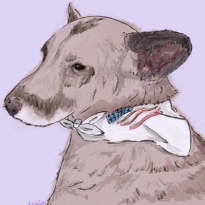 daily content of max and oso🐾 2 owners: https://t.co/330XbATqqV