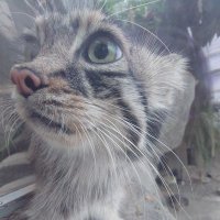 すぎきち (@sugikichi0810) 's Twitter Profile Photo すぎきち (@sugikichi0810) 's Twitter Profile Photo
