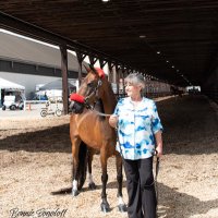 Stormy (@stormy06919276) 's Twitter Profile