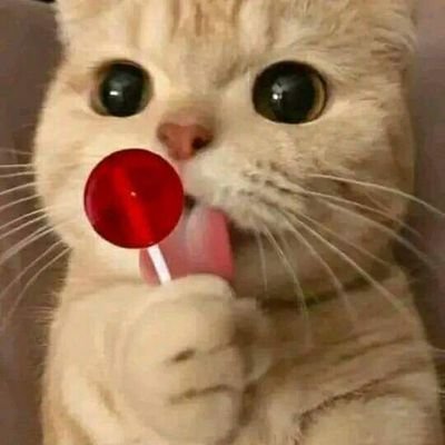 Angel06576293's profile picture. 