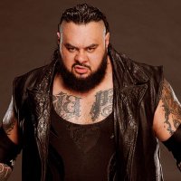 BIG BRONSON REED (@bronsonishere) 's Twitter Profile