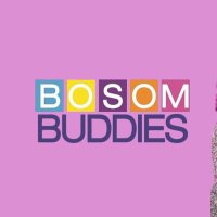 Bosom Buddies (@dkm_65ans) 's Twitter Profile