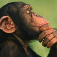 Dume La Nyani 🐵 (@ahmedmedy10) 's Twitter Profile