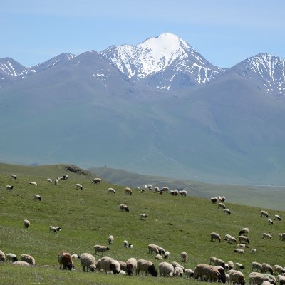 Amos203009's profile picture. 