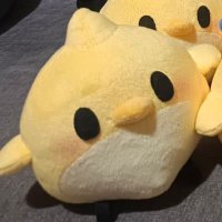 Noctus (@nocnocthn) 's Twitter Profile
