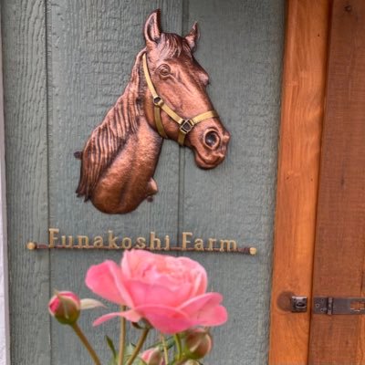 北海道の競走馬生産牧場。生産牧場の日々の様子をお届けします。 JRA現役馬:ユキマル、ヤマトスイフト、ビッキーセカンド、シンショク。JRA自己馬:ホーリーブライト、ピクニックマーチ/ 地方自己馬:マーヤボニータ※ https://t.co/QpBS1DEd2a