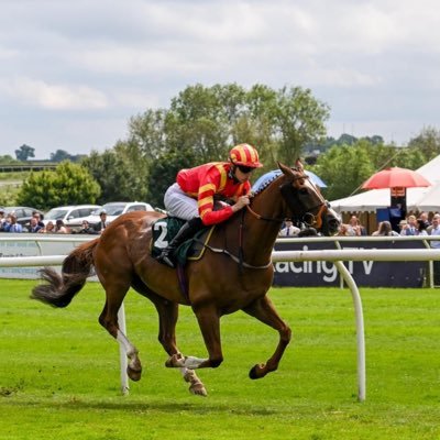 Mattbrown795's profile picture. amateur jockey at Brian Ellison racing