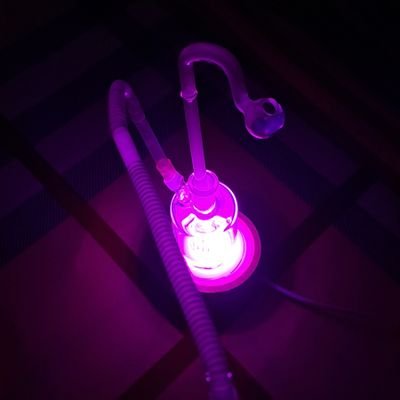 HueVersatile445's profile picture. 