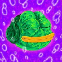 ffmad.xcp (@quentinbdb) 's Twitter Profile