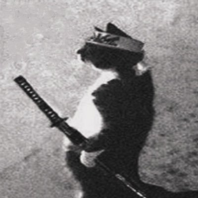 VNGLolaFN's profile picture. (want to go pro)