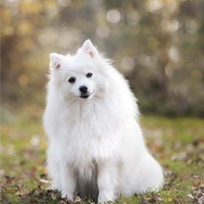 効率よくお金を増やす秘訣や有益情報など発信したりしています。自分がお金に苦労したので生活に苦しんでいる人を救いたいと思い、小規模ですが現金配布企画をしております♬ 期間限定→ https://t.co/PS7gs1MZqh