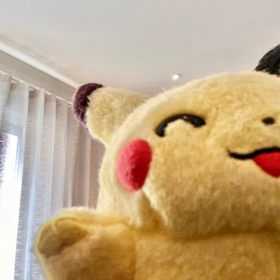 イギリスで暮らすピカチュウのﾁｬ~。家族もたくさん。