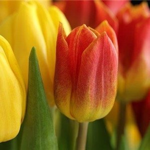 Mako81776080399's profile picture. 副業で安定した収入を得る方法を共有中。副業初心者に役立つ情報を発信。ほんの僅かですがお金配り企画も実施中♪ 期間限定⇒ https://t.co/8dKoDjNp7c