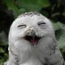 gk120652's profile picture. Wir können nicht jeden mögen.
Aber wir können jeden respektvoll behandeln.