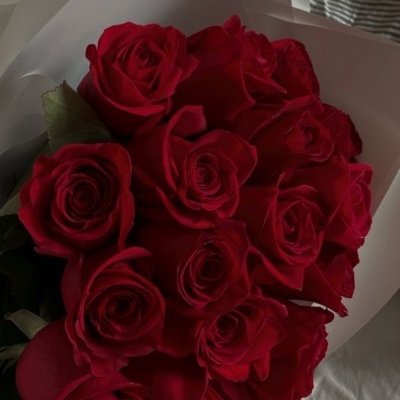 Victoria1426797's profile picture. 