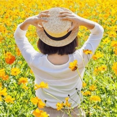 副業の成功法を発信中。副業を始めてみたい人に役立つ情報を発信。僅かですがお金配り企画もしています♪ 支援中➡ https://t.co/vZ3Nlu70Vv