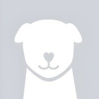 def (@mostdefdog) 's Twitter Profile