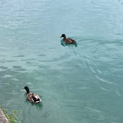 katherine893163's profile picture. 