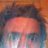 mw53708's profile image