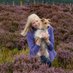 Sandie Nicholson (@holmfirthphotos) Twitter profile photo