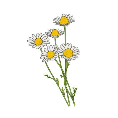 自分探しの旅の途中の私🌼〈〈旅先は自分の心の中👜❤️〉〉自分の声を聞こう。自分大事にしよう🥺// ⭐︎タロット勉強中🌱⭐︎//ツインに出会って生き方、考え方がガラッと変わっていってる女です👩自分がこんなに動ける人だとは🥳