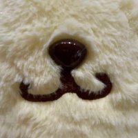 さやぴ🍼🤍(柔ちゃん命名) (@_ebidan_love_) 's Twitter Profile