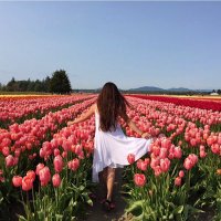 Geraldine Gavin (@geraldigavin) 's Twitter Profile