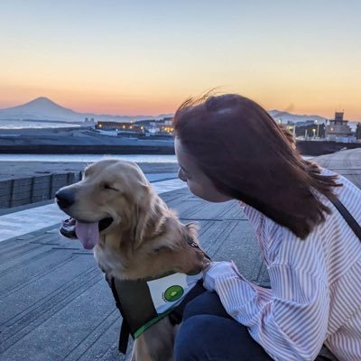 埼玉→千葉→神奈川県民。大学病院勤務の検査技師してます。微生物検査技師6年目突入🦠 🥼🔬 検査技師は8年目。微生物の認定とる。必ず。