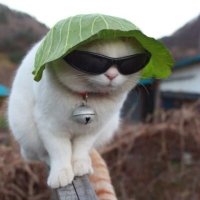 renoa (@txzzyfn) 's Twitter Profile Photo renoa (@txzzyfn) 's Twitter Profile Photo