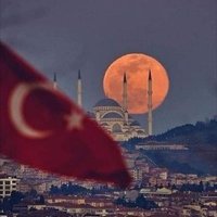Elif Genç 🇹🇷 (@elifegenc) 's Twitter Profile