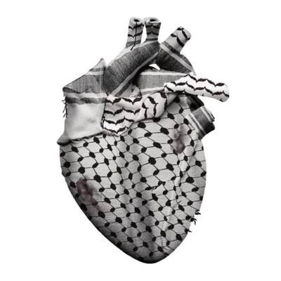 israaexol's profile picture. Machine Learning Engineer