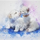 mai462795686685's profile picture. お金に愛される秘訣や有益情報など共有中。自身がお金に苦労したので生活に苦しんでいる人を助けたいと思い、ほんの僅かですが現金プレゼント企画を始めました♫ 支援中⇒ https://t.co/xDusO49fff