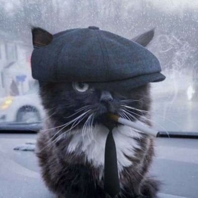 Serggio1171's profile picture. adicto a 

los autos 🏎️💨

y el buen whisky 🥃

( también adicto al olor de la gasolina y del café)