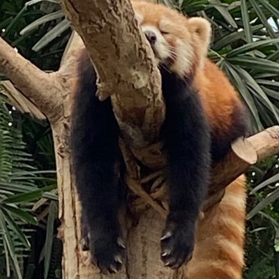 xxxxxktx's profile picture. 推しの幸せを願う生物