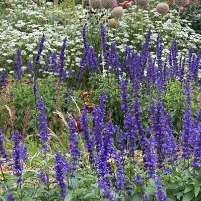 5Wm7Xj8jbRuHyGo's profile picture. 明るく、楽しく、元気よく 過ごしたいな。ナースを辞めて無職のおばさんになりました。