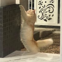 Raja sani | (🦄,🦄) (@rajasan47635105) 's Twitter Profile Photo Raja sani | (🦄,🦄) (@rajasan47635105) 's Twitter Profile Photo