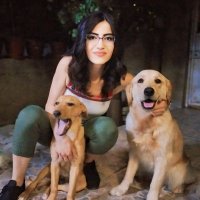 Duygunun Patileri ❤️ (@dudununpatileri) Twitter profile photo