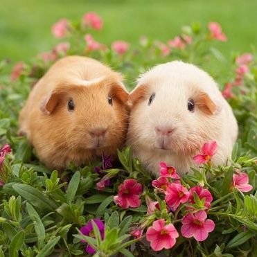ChurinFunfly7's profile picture. Beauty. Humor. No Porn 🚫. No Politics 🚫. Mental Awareness. Delightful place to just rest, reboot, refresh, and smile. 🙂🌠🌸🧔💞🦋💌🌴🎈🎉🧸🪺🐦🌿