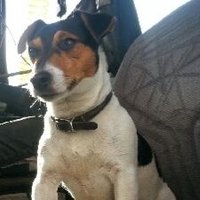 David Aglen (@davidaglen) 's Twitter Profile