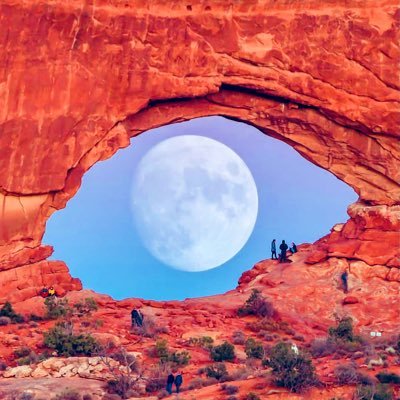 twitcoded's profile picture. #BATALLION