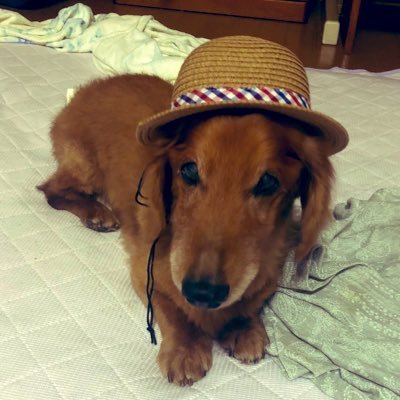 UVwk0N0lgd0530's profile picture. 