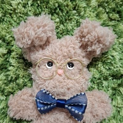 のんびりDOLL🧸無ぬいを愛でてます☺️
⚠成人済⚠1/12 1/6サイズDOLL　無ぬいちゃん　シルバニア、カプセルトイも好きなのでポストしたりする雑多垢　フォロバは慎重
TL追えてません🙏オススメ欄見れてません🙏
いいね♡ありがとうございます🙇‍♀️