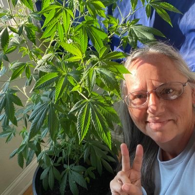 potheadtheatre's profile picture. 