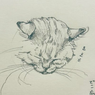 梅代さんのプロフィール画像